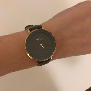 Skagen watch